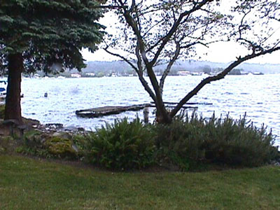 Bellevueestate4