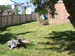 Westseattlehouse9