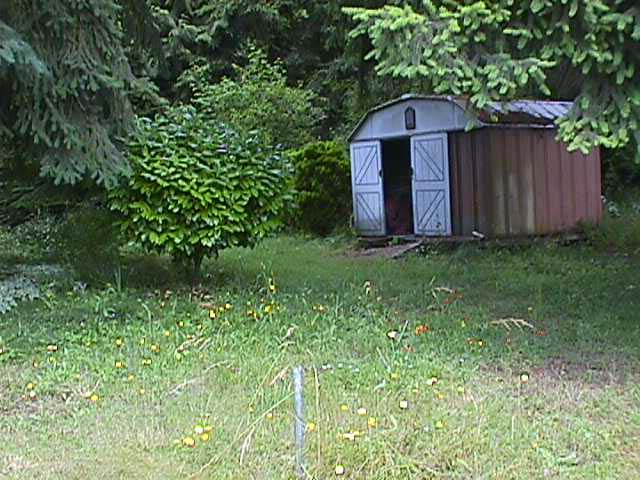 MVC-006S