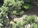 CIMG0035