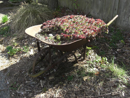 May31_12_2