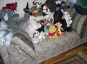 CIMG0423